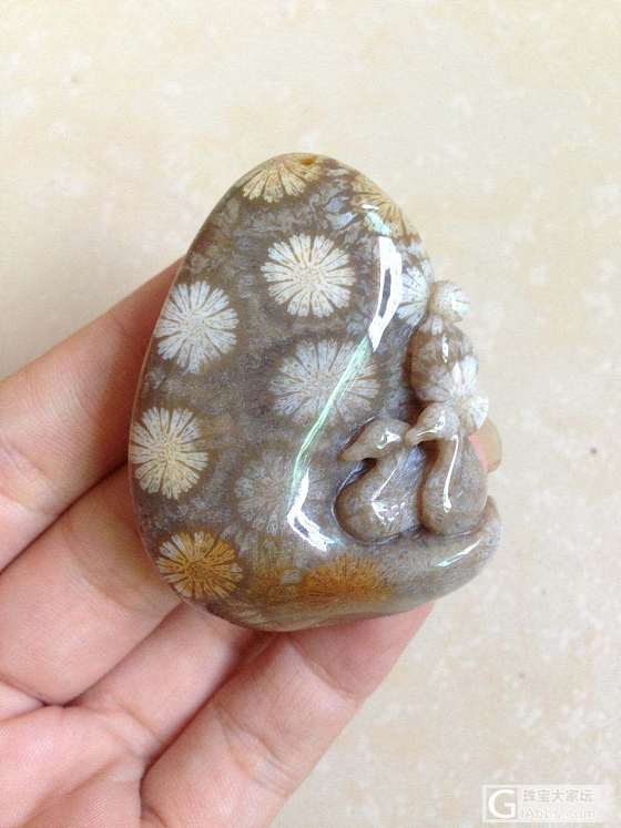 纯天然印尼珊瑚玉_挂件珊瑚玉