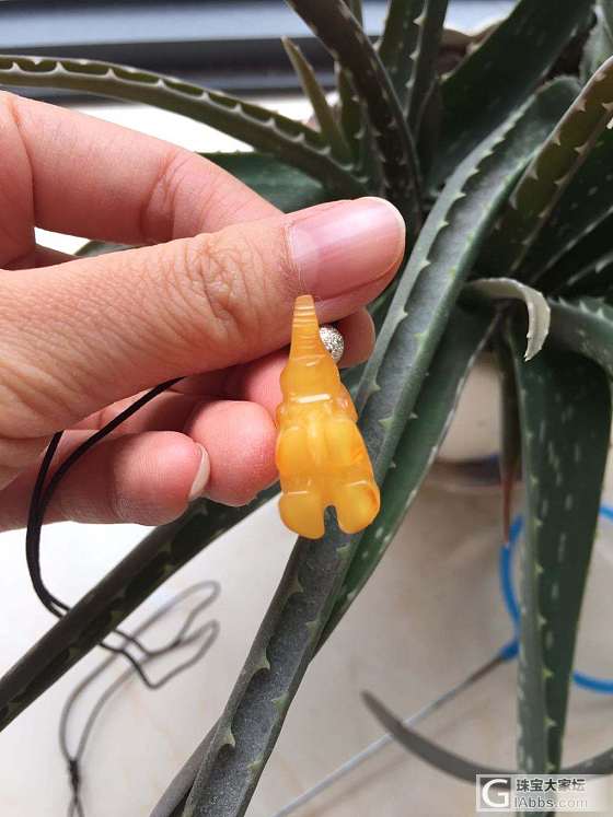 出几件琥珀，大象兔子是老外雕的_珠串挂件琥珀