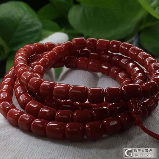 珊瑚_珠串珊瑚