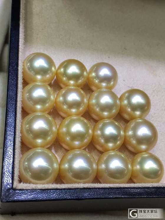南洋天然金珍珠12-13mm 正圆强光无瑕 
吊坠 耳环 戒指 都可以制订款式_海水珍珠