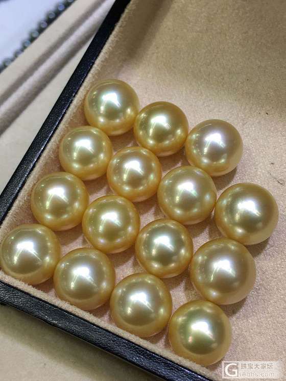 南洋天然金珍珠12-13mm 正圆强光无瑕 
吊坠 耳环 戒指 都可以制订款式_海水珍珠