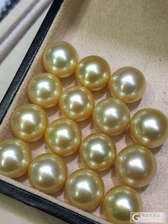 南洋天然金珍珠12-13mm 正圆强光无瑕 
吊坠 耳环 戒指 都可以制订款式_海水珍珠