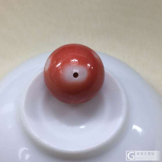 珊瑚_配件珊瑚