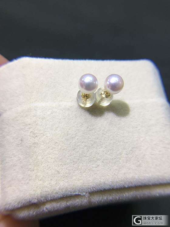 5/5.5mm akoya耳钉_耳钉海水珍珠