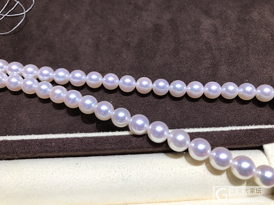 天女珠链带日本证书8-8.5_项链珍珠