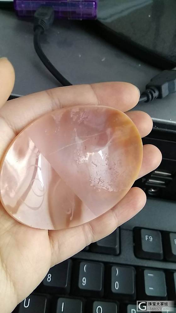 卡梅奥初体验_贝壳挂件珊瑚