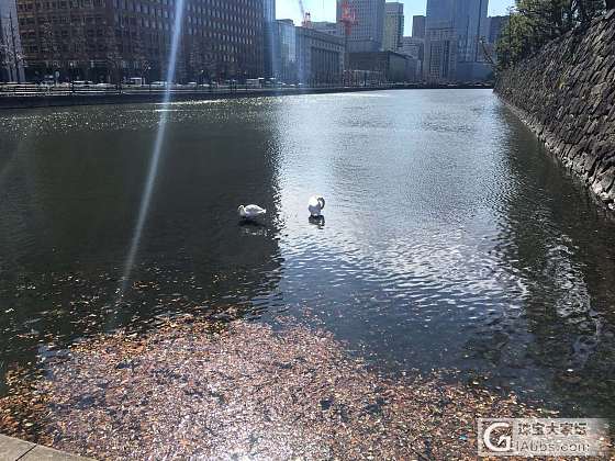 日本一个充满神奇的地方_日本闲聊