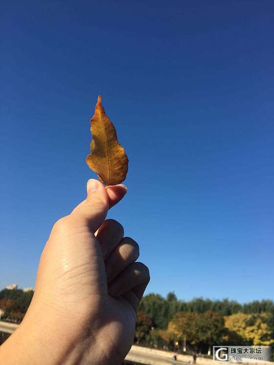 秋天还是很漂亮的_摄影