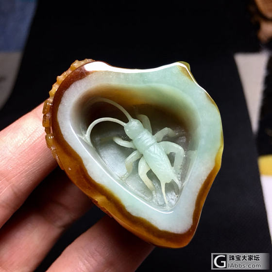 翡翠 特色蛐蛐罐_玉工翡翠