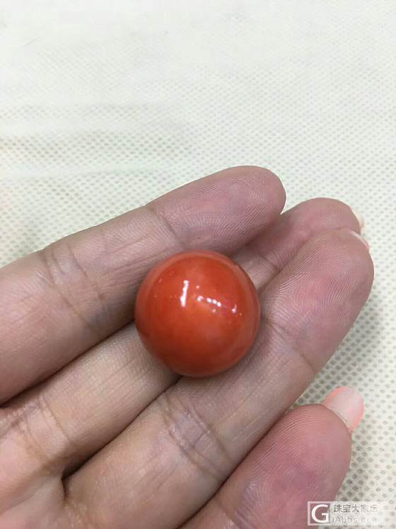 momo圆珠_配件珊瑚