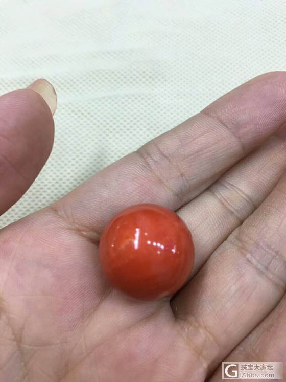 momo圆珠_配件珊瑚