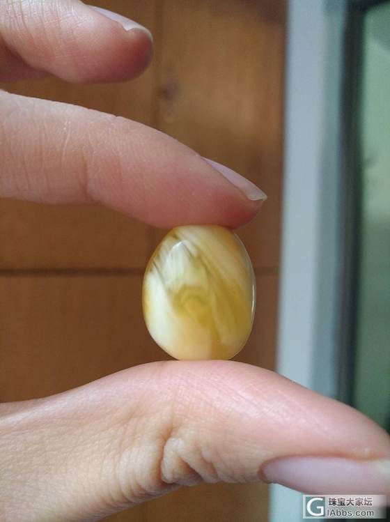 小小金绞白一枚_戒面蜜蜡