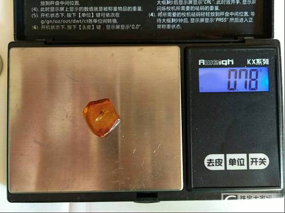 闲出带虫金珀_金珀