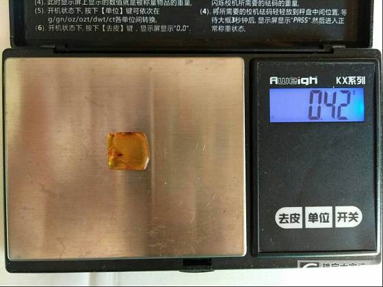 闲出带虫金珀_金珀