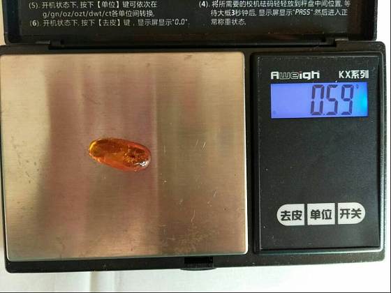 闲出带虫金珀_金珀