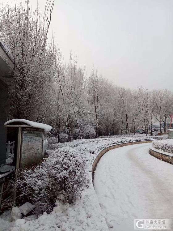 2017年乌鲁木齐第一场雪比以往来的更晚一些_乌鲁木齐摄影