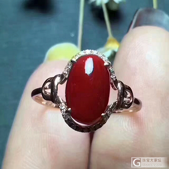 高品质纯天然深海红珊瑚，18K金镶嵌南非钻石，十分精致，精品阿卡牛血红，极品成色..._戒指珊瑚