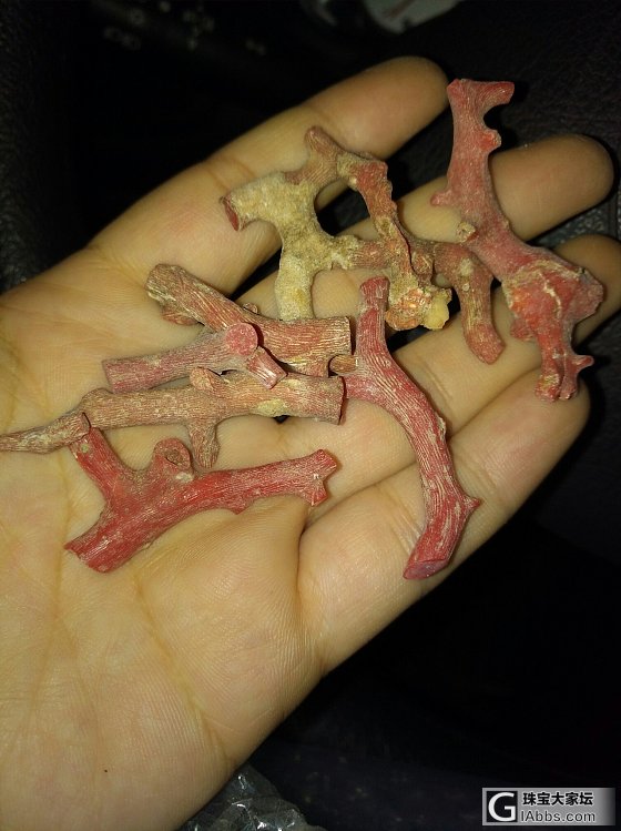 珊瑚枝原料_原石珊瑚