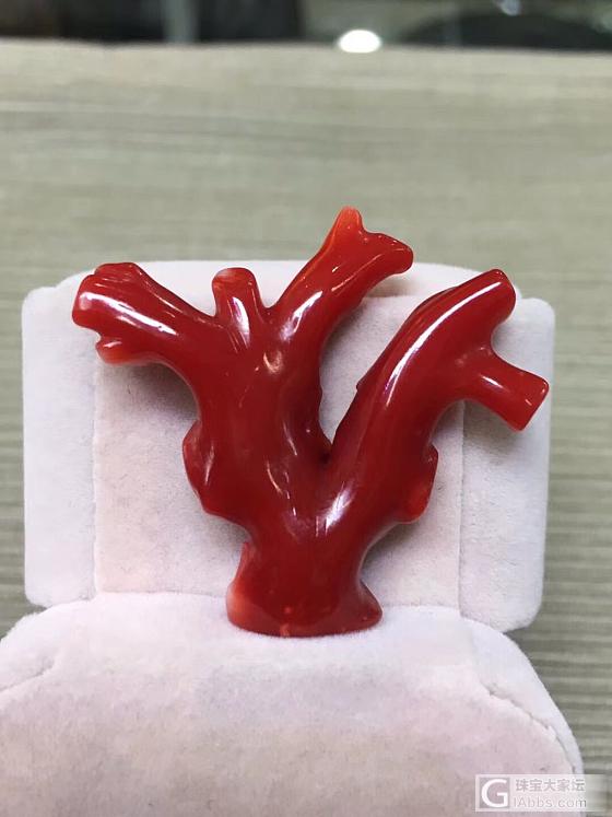 日本珊瑚阿卡大枝_配品珊瑚