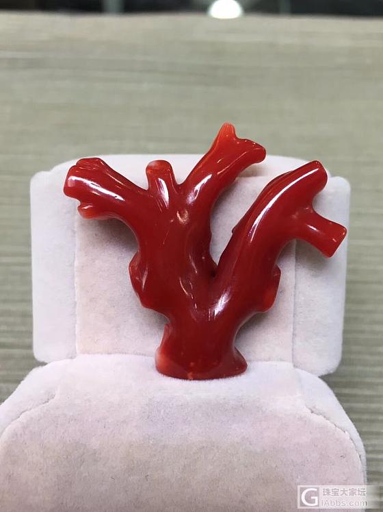 日本珊瑚阿卡大枝_配品珊瑚