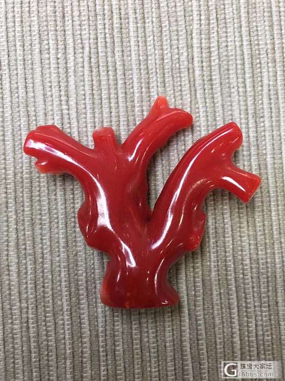 日本珊瑚阿卡大枝_配品珊瑚