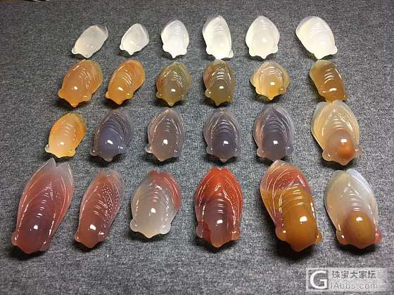 天然玛瑙蝉《一鸣惊人》，做蝉我是专业的，哈哈哈_挂件玛瑙