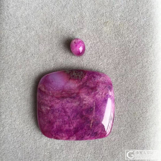桃红 ❣️舒俱来_舒俱来
