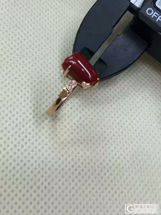 阿卡赤牛血戒指_戒指珊瑚