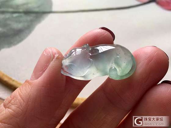 听说狐狸防小三，不知道准不准？_翡翠