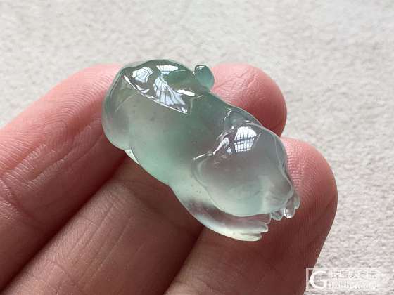 听说狐狸防小三，不知道准不准？_翡翠