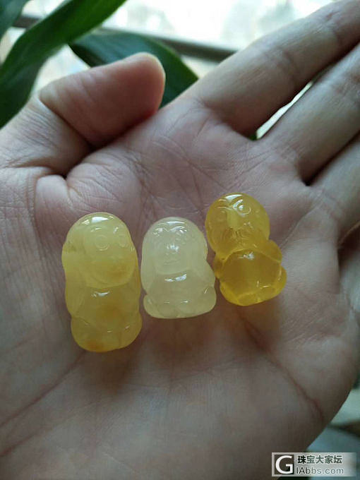 分享蜜蜡雕刻件都是卡通萌物孙大圣海马象神雀羽三不猴等_雕刻琥珀蜜蜡