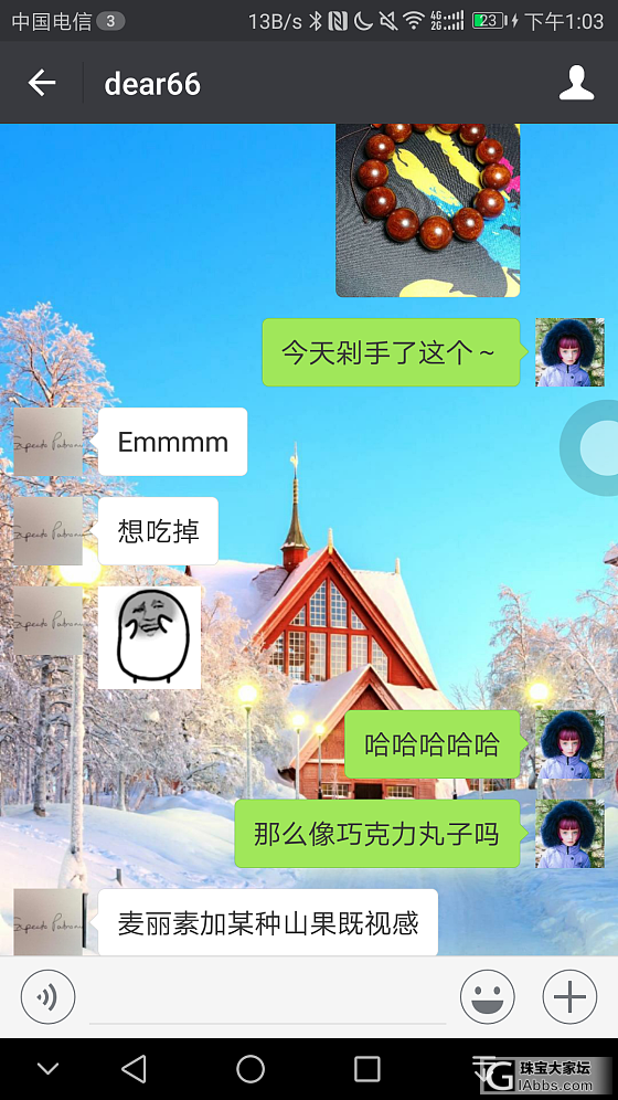 没救了的闺蜜……明明是巧克力豆！_珠串小叶紫檀