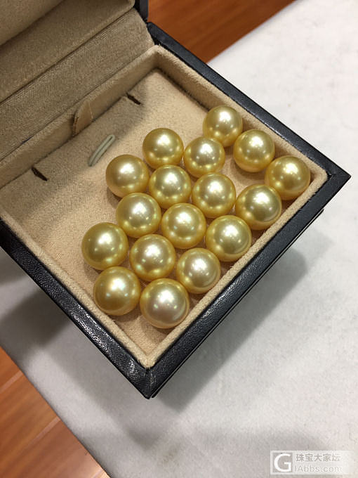 南洋金珠 大量到货_海水珍珠