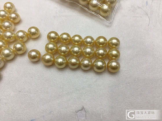南洋金珠 大量到货_海水珍珠