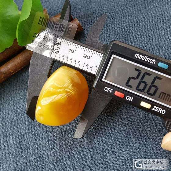 极品俄料满蜡蜜糖色白花蜡尤物