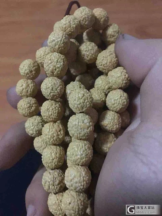 小金钢皮色_菩提子