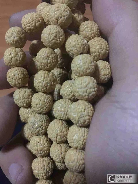 小金钢皮色_菩提子