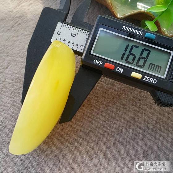纯天然无优化金绞蜜平安无事牌