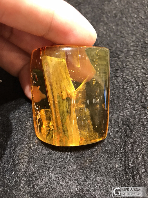 见过这样的虫珀植物珀吗_植物珀虫珀
