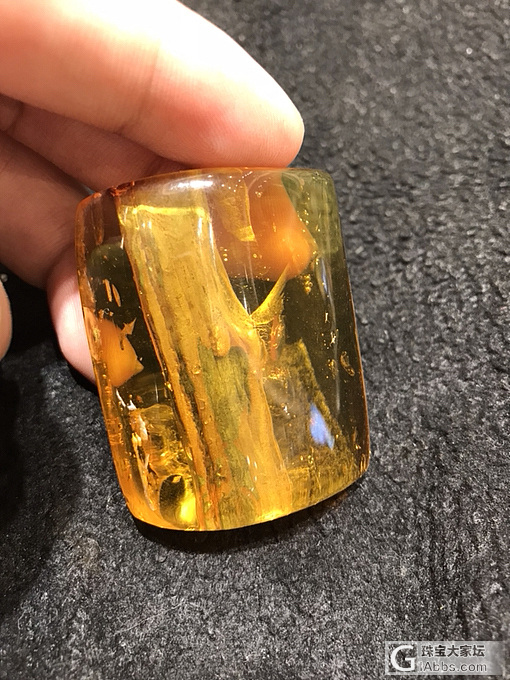 见过这样的虫珀植物珀吗_植物珀虫珀