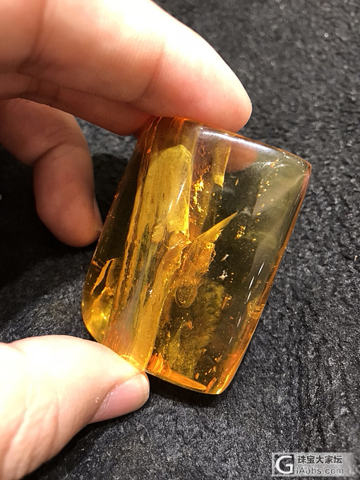 见过这样的虫珀植物珀吗_植物珀虫珀
