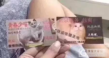 “扫猫打非”行动_猫