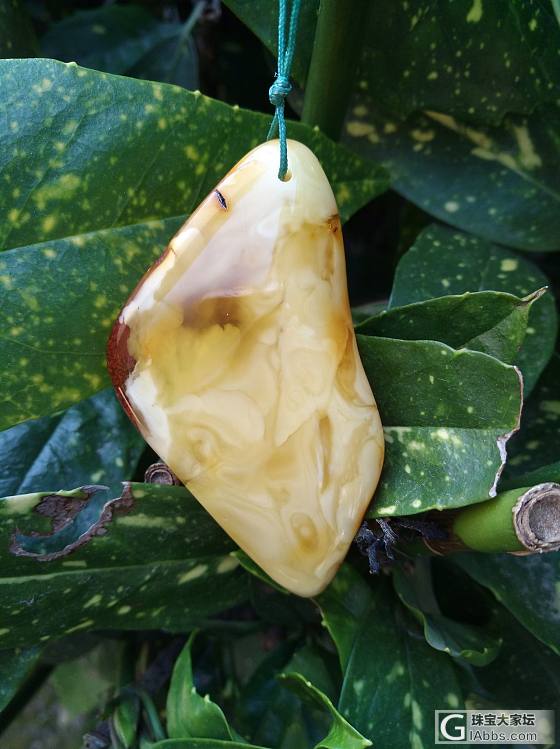 阳光下的蜜蜡_挂件蜜蜡