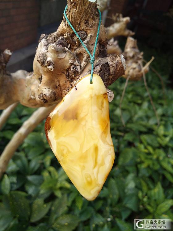 阳光下的蜜蜡_挂件蜜蜡