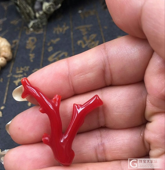 没想好怎么设计_珊瑚