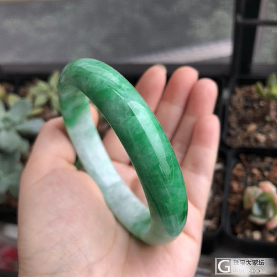 给太后的绿镯子_手镯翡翠