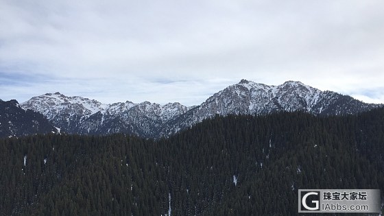 好像闹了个乌龙，雪景傻傻分不清_乌鲁木齐闲聊