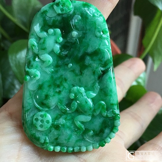 天然缅甸翡翠a货正阳绿呱呱来财莲蛙大牌吊坠挂件玉牌毛衣链_挂件翡翠