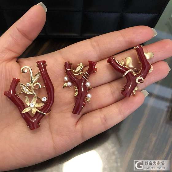 顶级赤血珊瑚枝，胸针，吊坠两用款，左一是设计师款，中间的和右边的都出自本工作室设..._吊坠胸饰珊瑚