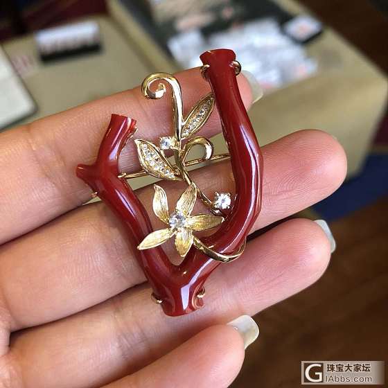 顶级赤血珊瑚枝，胸针，吊坠两用款，左一是设计师款，中间的和右边的都出自本工作室设..._吊坠胸饰珊瑚